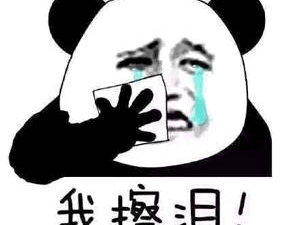 双强联手，诚信为本，共筑不骗人生传奇