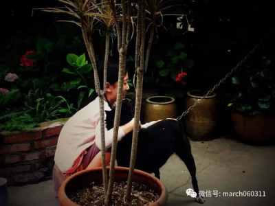 同频共振：人际关系的和谐基石
